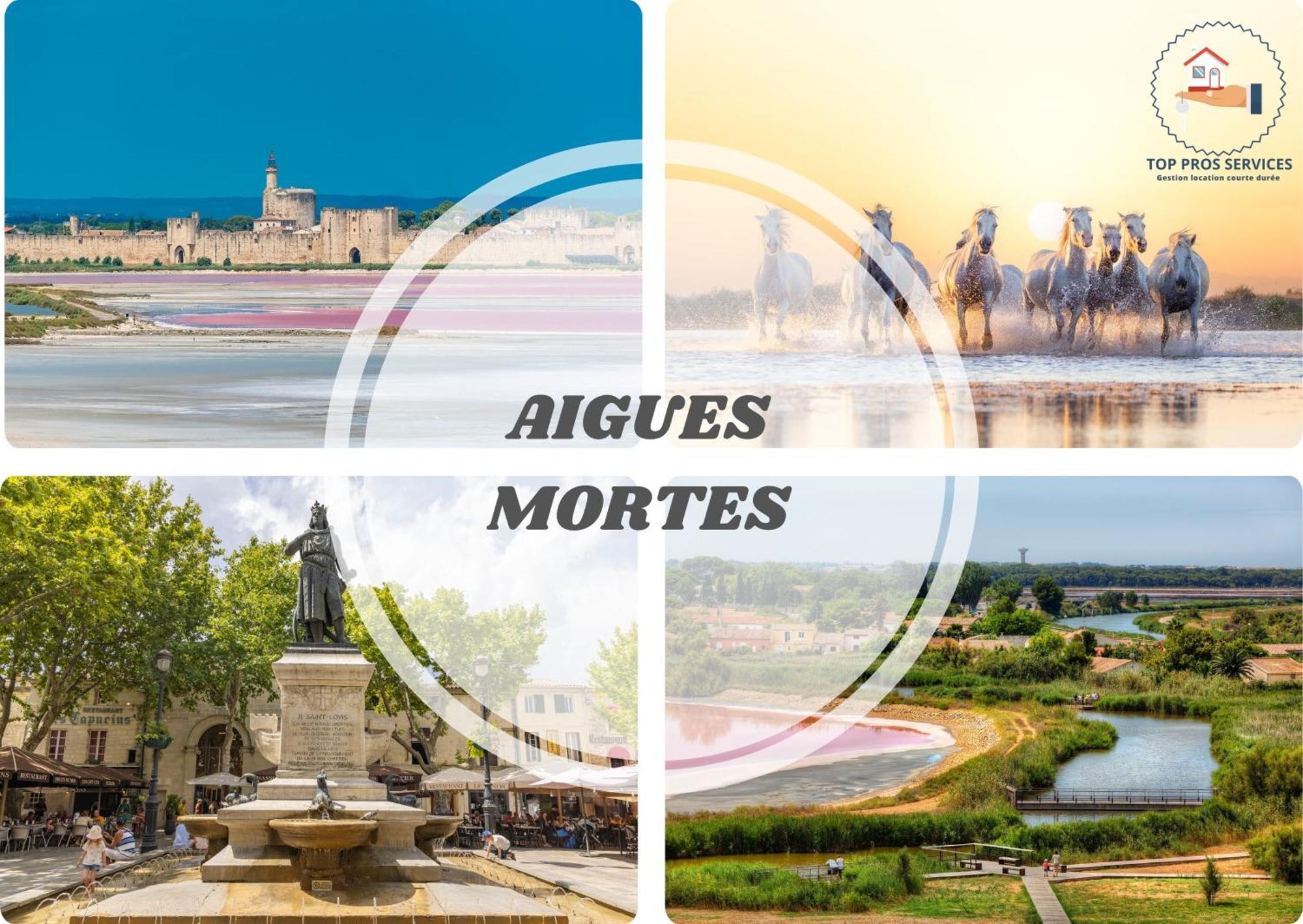 22-clim-wifi-terrasse-plage La Grande-Motte